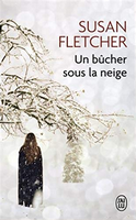 un_bucher_sous_la_neige.png